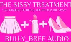 The Sissy Treatment Audio