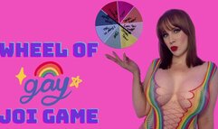 Wheel Of Gay JOI Game WMV