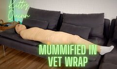 Kitty Quinn Mummified In Vet Wrap HD 720p MP4