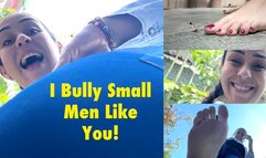 I Bully Small Men like You - 4k