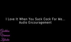 I Love It When You Suck Cock For Me! Audio