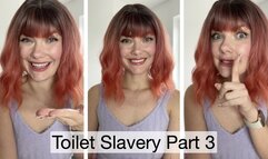 Toilet Slavery Part 3