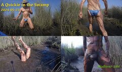 A Quickie in the Swamp, 2024-05-23