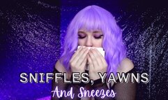 Sniffles, Yawns, and Sneezes