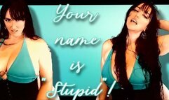 Your name is "Stupid"