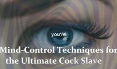 The NLP toolbox: Mind-Control Techniques for the Ultimate Cock Slave