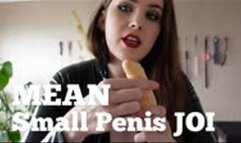 Mean Small Penis JOI