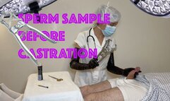 SPERM SAMPLE BEFORE CASTRATION WITH ELASTRATOR (mp4)