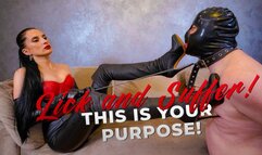 Lick and Suffer! This is Your Purpose! (4k)